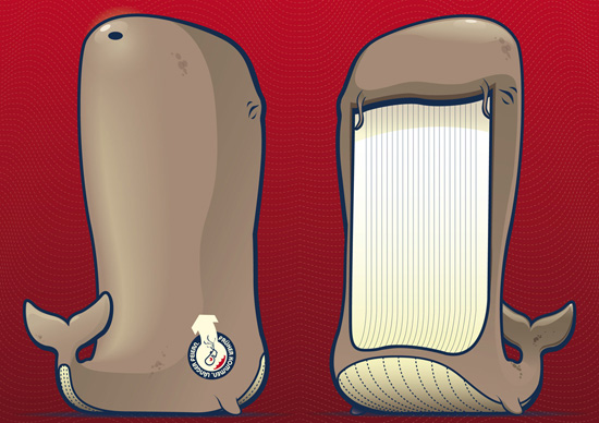 bggie front and back