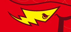 Flash