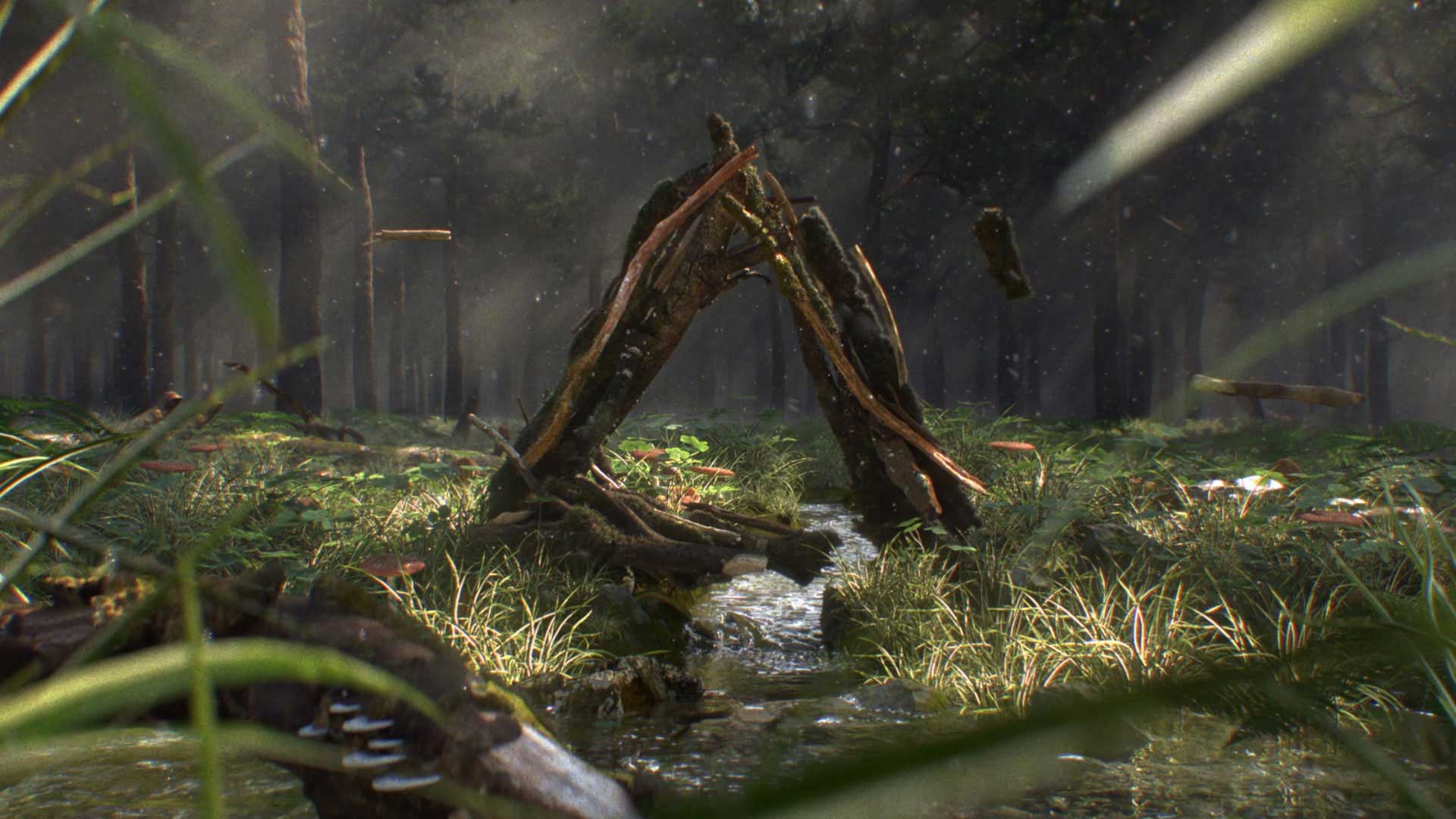 Acht_forrest02